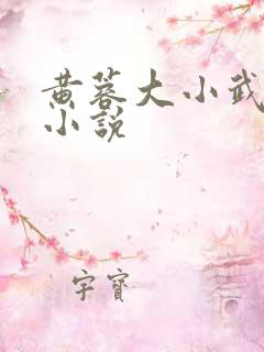 黄蓉大小武外传小说