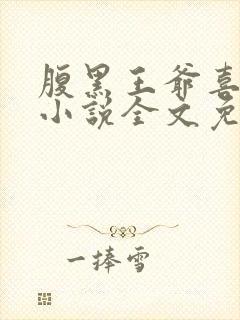 腹黑王爷喜当爹小说全文免费阅读