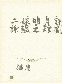 二嫁明月许清宜谢韫之短剧