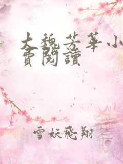 大魏芳华小说免费阅读