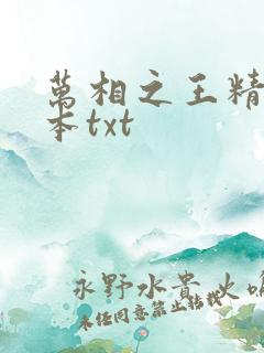 万相之王精校全本txt