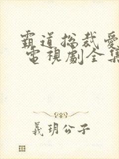 霸道总裁爱上我 电视剧全集免费观看韩剧