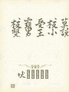 校霸受校草攻的双男主小说