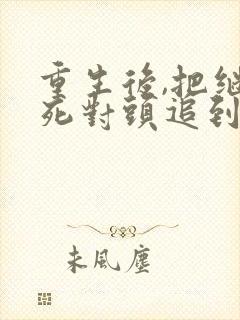 重生后,把继兄死对头追到手短剧叫什么