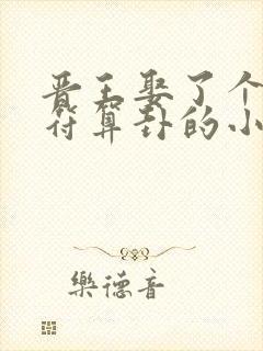晋王娶了个会画符算卦的小王妃