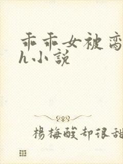 乖乖女被脔日常h小说