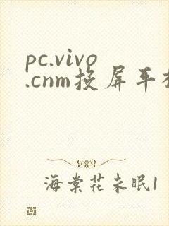 pc.vivo.cnm投屏平板电脑版