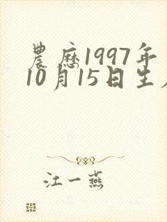 农历1997年10月15日生辰八字