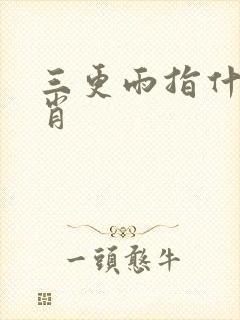 三更雨指什么生肖