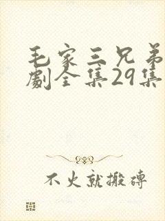 毛家三兄弟电视剧全集29集