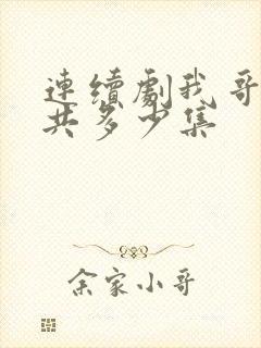 连续剧我哥我嫂共多少集