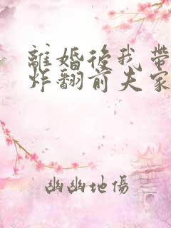离婚后我带四崽炸翻前夫家