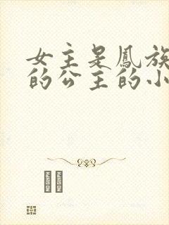女主是凤族唯一的公主的小说