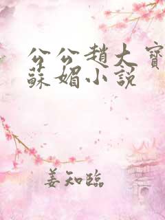 公公赵大宝儿媳苏媚小说
