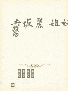 赤坂丽 姐妹牙医