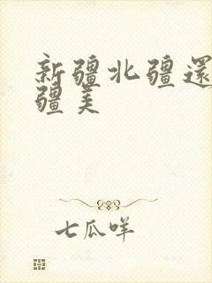 新疆北疆还是南疆美