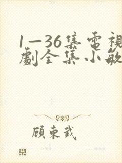 1—36集电视剧全集小敏家
