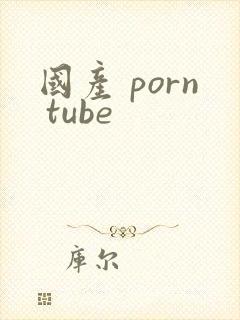 国产 porn tube