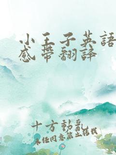 小王子英语读后感带翻译