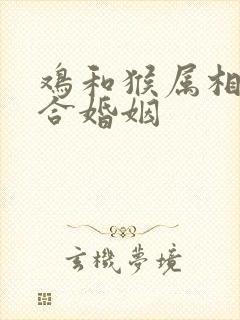 鸡和猴属相合不合婚姻