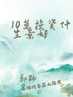 10万投资什么生意好