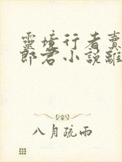 灵境行者卖报小郎君小说离线下载