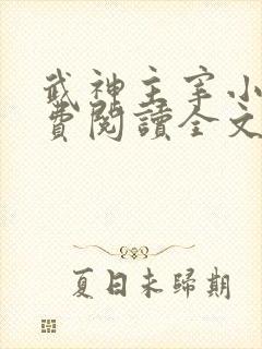 武神主宰小说免费阅读全文无弹窗