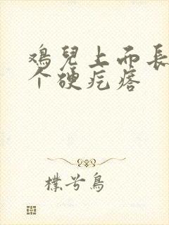 鸡儿上面长了一个硬疙瘩