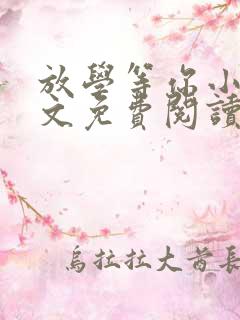 放学等你小说全文免费阅读