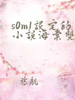 s0m1设定的小说海棠双男主
