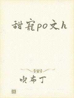 甜宠po文h