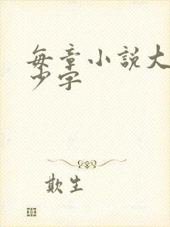 每章小说大概多少字