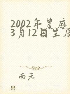 2002年农历3月12日生辰八字