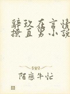 辞玖在言情文里撩直男小说