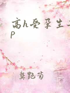 高h受孕生子np
