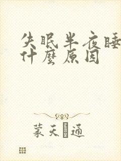 失眠半夜睡不着什么原因
