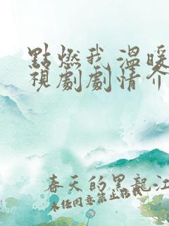 点燃我温暖你电视剧剧情介绍