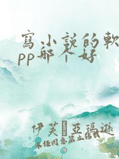 写小说的软件app哪个好