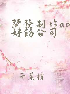 开发制作app好的公司