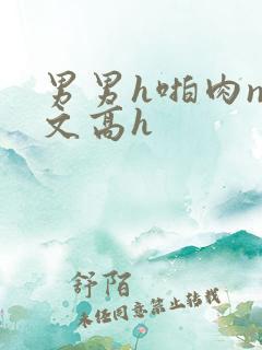 男男h啪肉np文高h