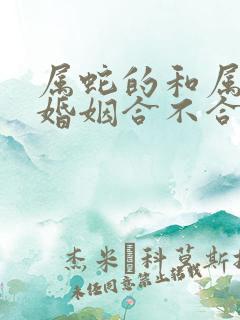属蛇的和属鸡的婚姻合不合
