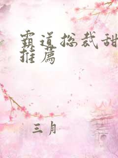 霸道总裁甜宠文推荐