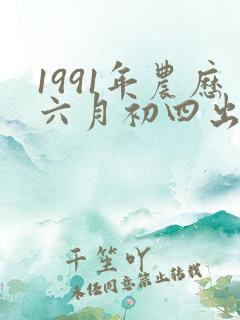 1991年农历六月初四出生人八字算命