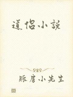 道侣小说