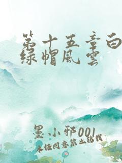 第十五章白洁之绿帽风云