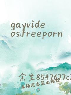 gayvideosfreeporn