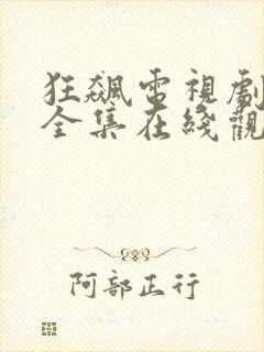 狂飙电视剧免费全集在线观看免费