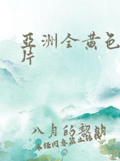 亚洲全黄色系列片