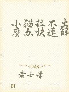 小猫拉不出屎怎么办快速解决