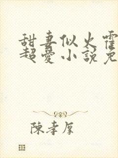 甜妻似火霍爷他超爱小说免费阅读